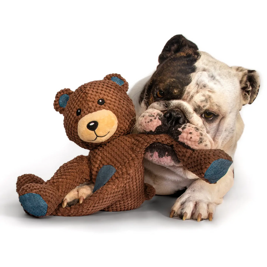 DoggiePlay – Knuffelvriendje Teddy